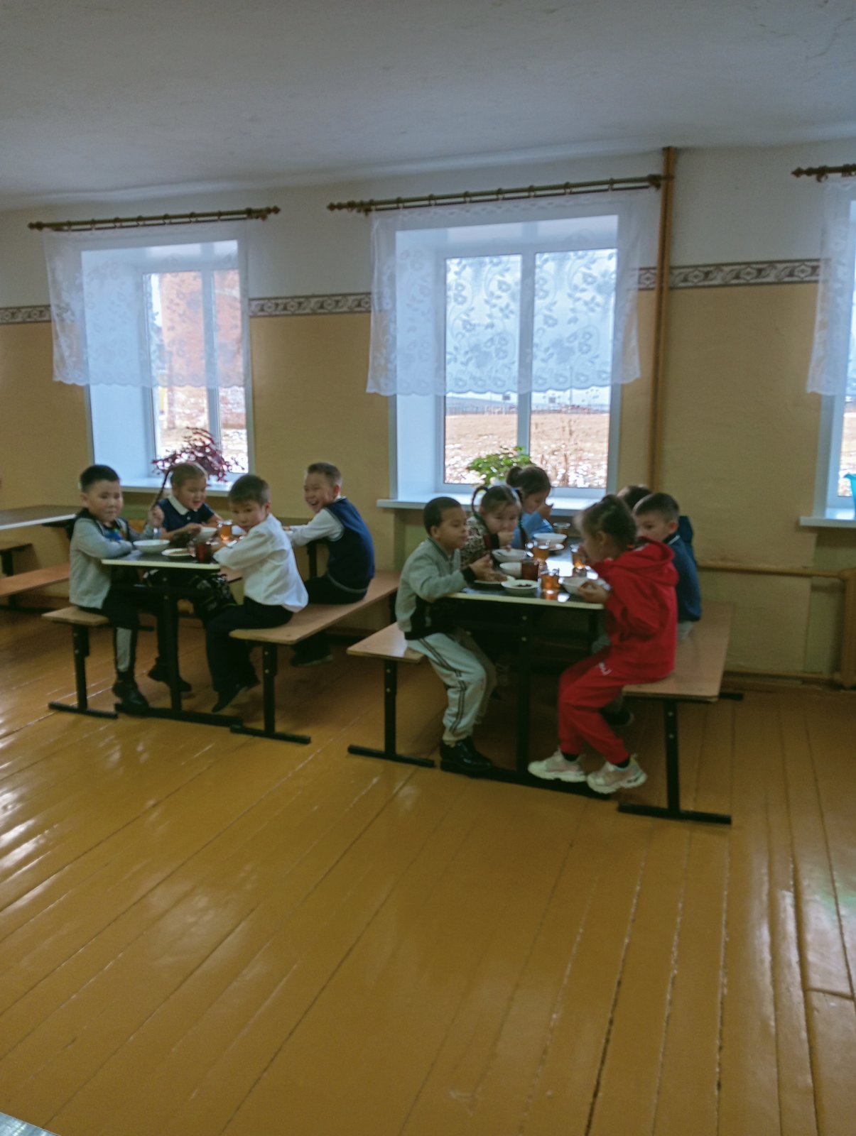 Изображения столовой.